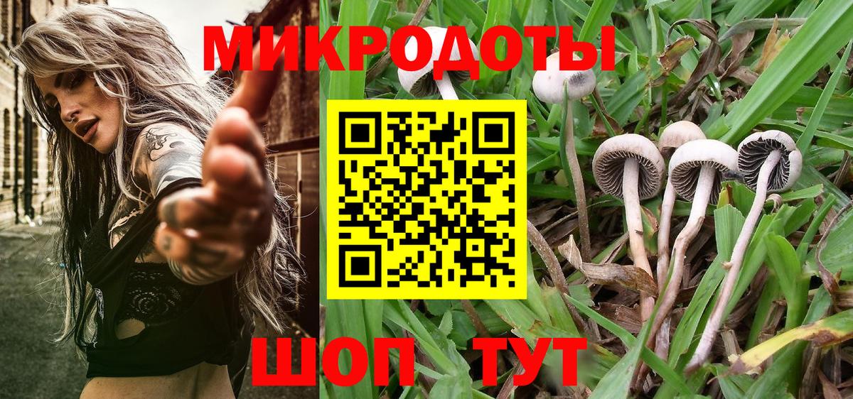 Псилоцибиновые грибы MAGIC MUSHROOMS  Вход с VPN  купить закладку  Советский 